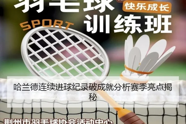 哈兰德连续进球纪录破成就分析赛季亮点揭秘